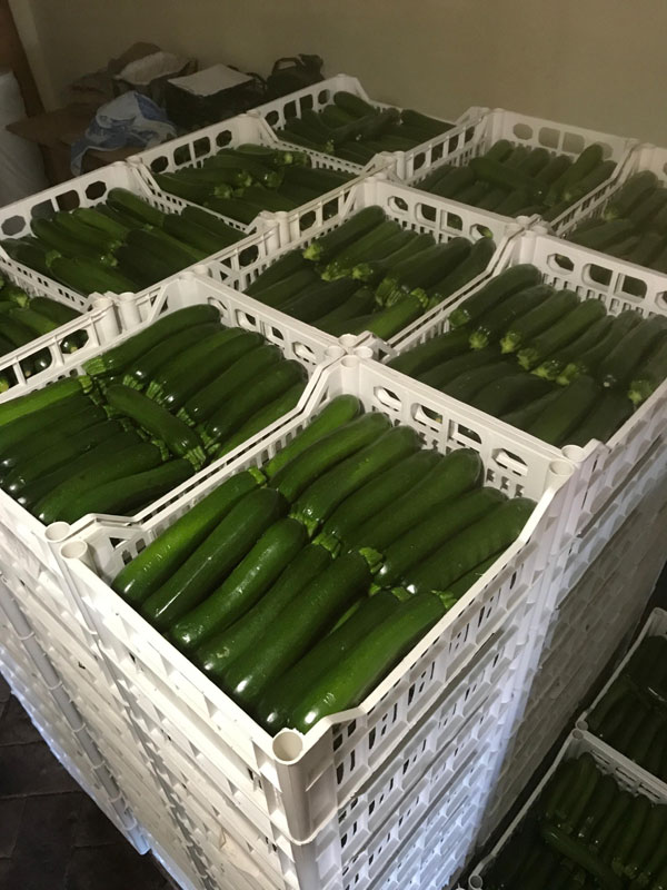 service-details